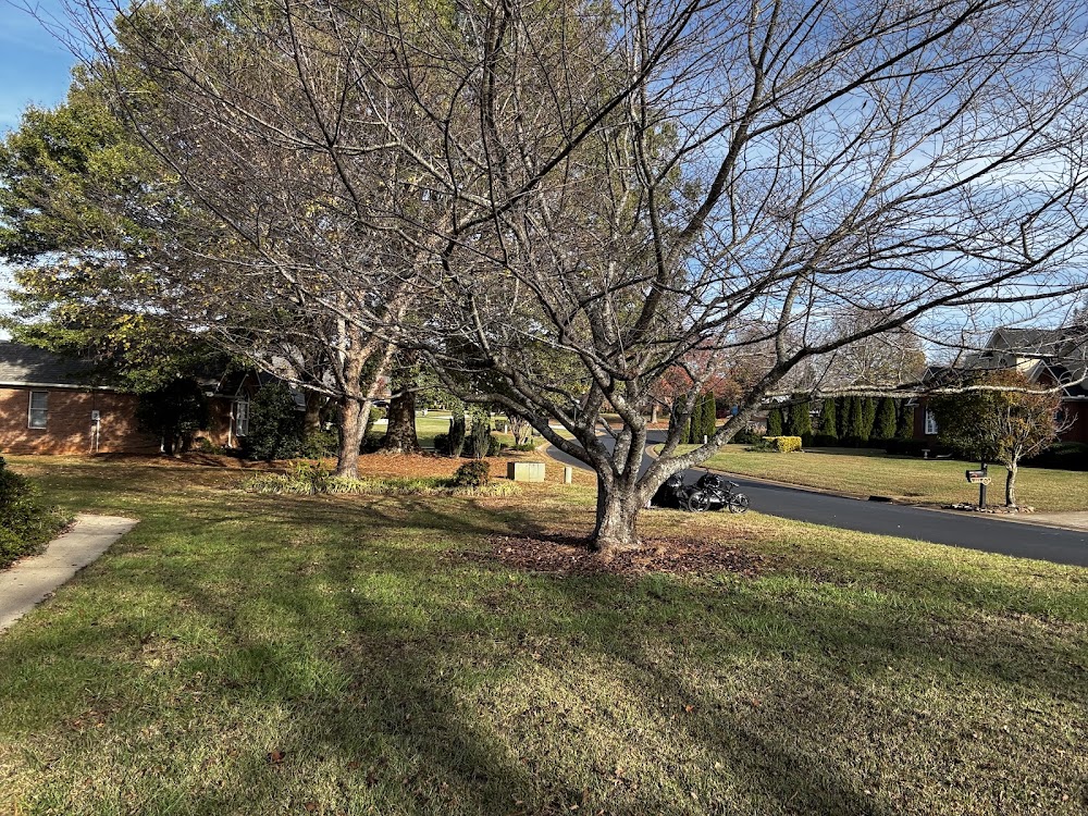 Mow and More Landscaping